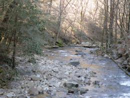 River in Tennessee